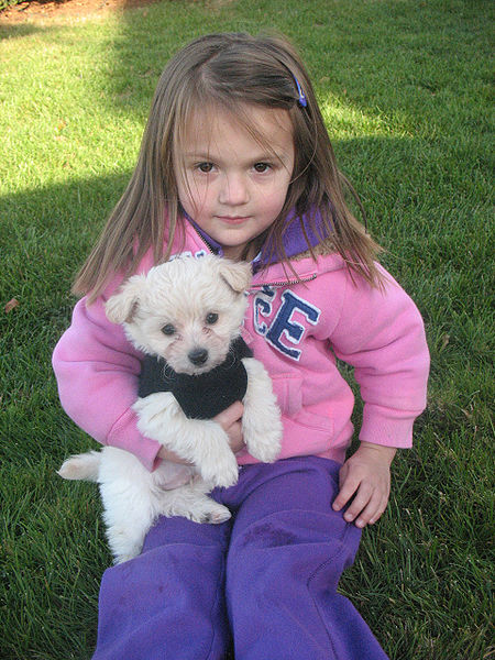 images/dziewczynka z pieskiem.jpg65b59.jpg